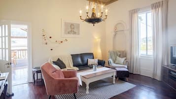 Smart TV, fireplace, DVD player, books