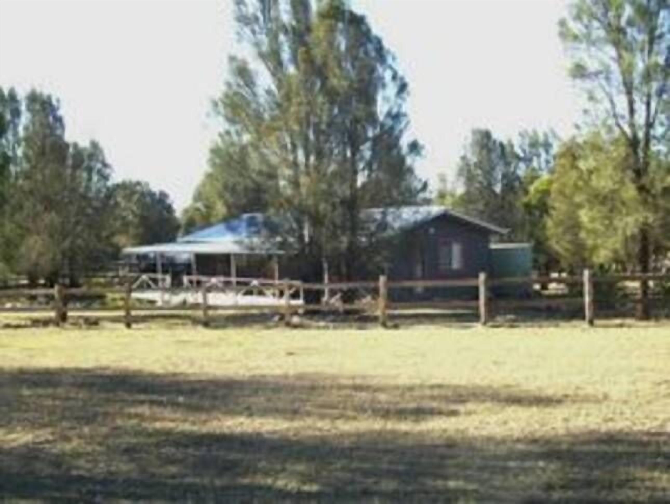 Serenity Grove - Frantoio