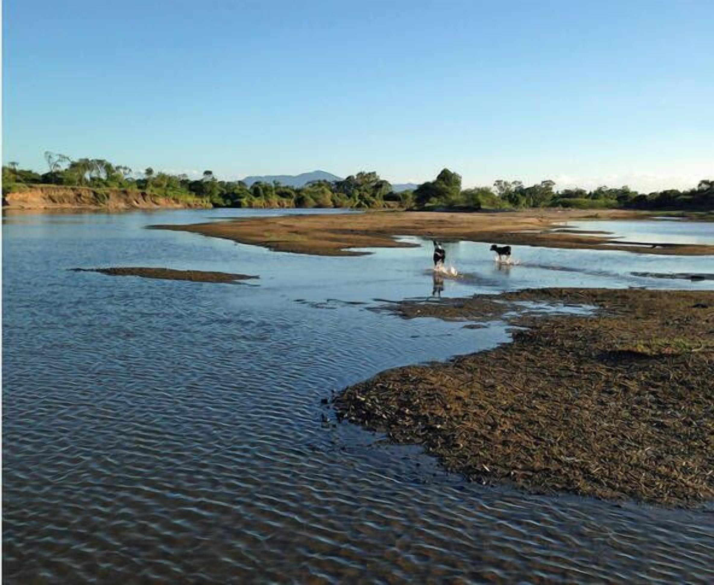 Elliot River Retreat, Riverside Walks & Fishing, Large Pet Friendly Fenced Yard