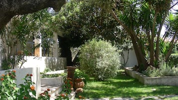 Tuin
