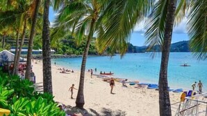 A beach with palm trees, a sandy shore, and a calm sea. - Lagoon 206 Hamilton Island by HamoRent (Hamilton Island)