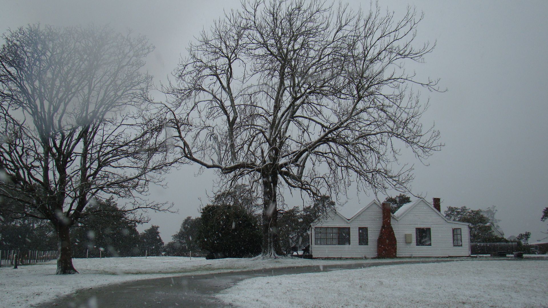 Buttons Cottage a stargazers delight — image 15