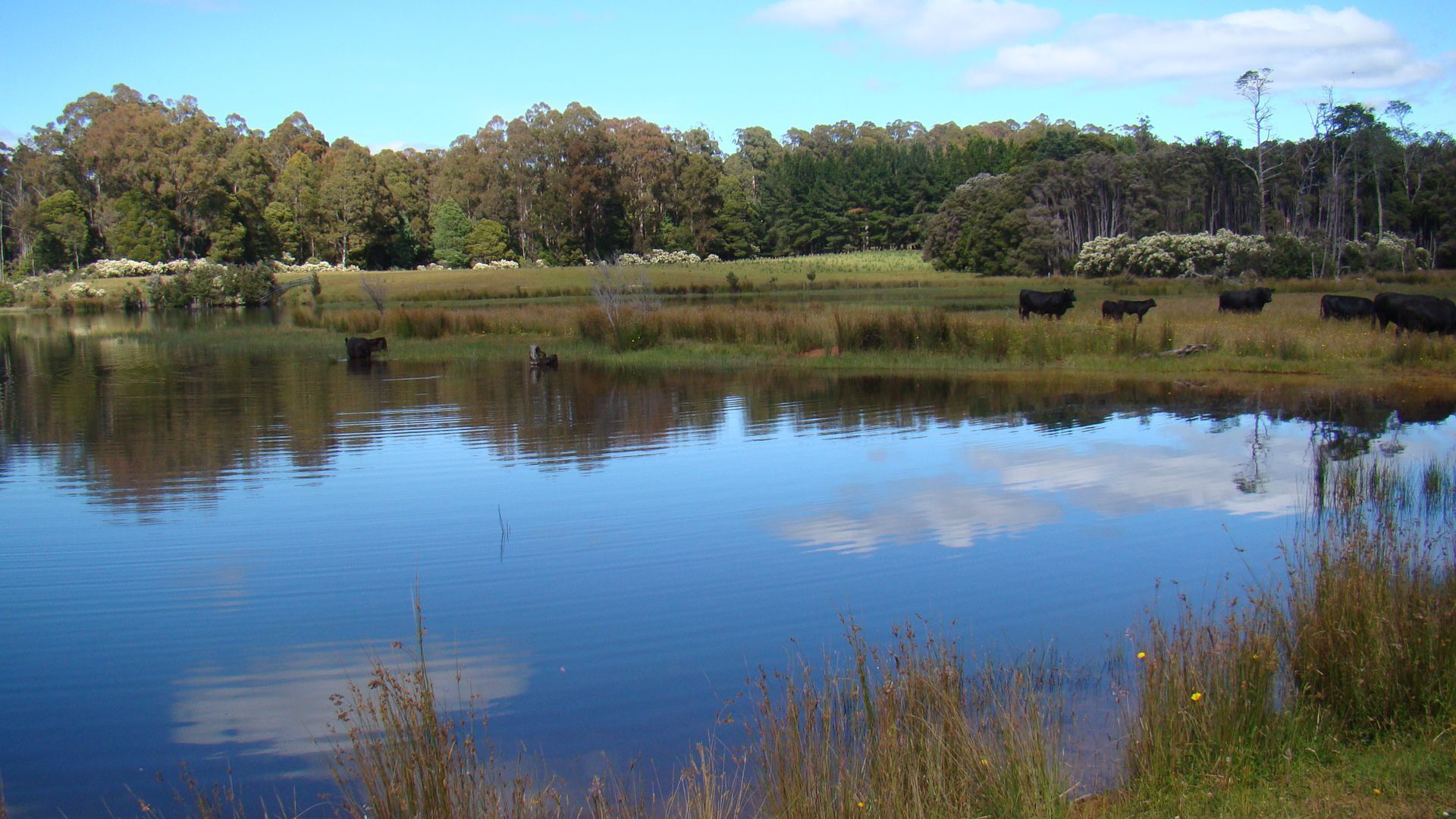 Buttons Cottage a stargazers delight — image 18