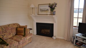 A living room with a patterned sofa, a fireplace, a television, and a bookshelf. - Buttons Cottage underneath the Milky Way (Nietta)