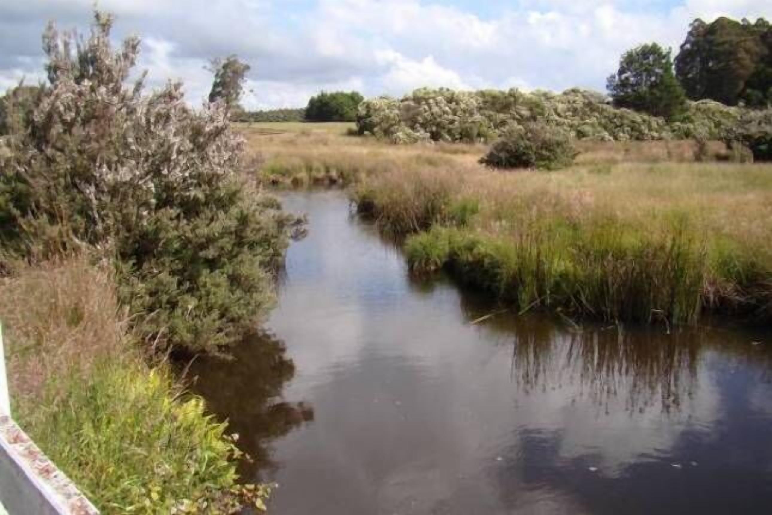 Buttons Cottage a stargazers delight — image 13