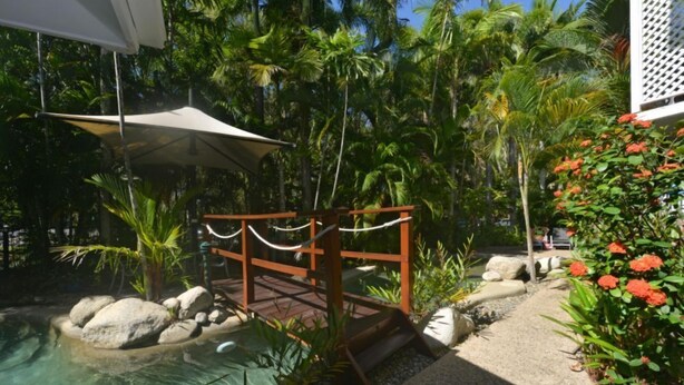 Un jardín tropical con piscina, palmeras y un puente de madera.