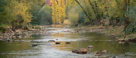 Un río que atraviesa un bosque con rocas y árboles.