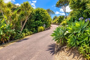 A paved road flanked by lush greenery and a clear blue sky.