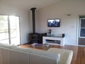 TV, fireplace, DVD player, books