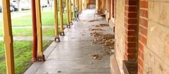 Stanley Cottage 2 bedroom