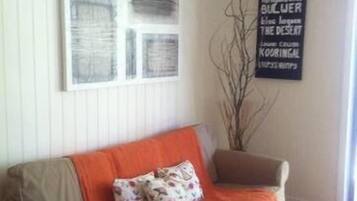 TV, fireplace, DVD player, books