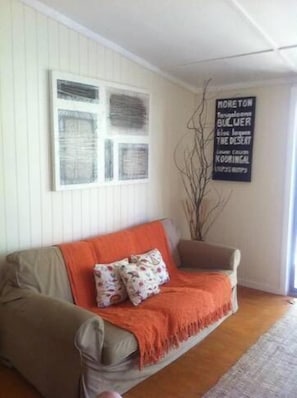 TV, fireplace, DVD player, books