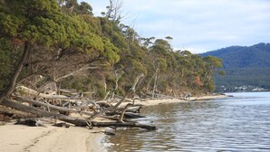 A beach with driftwood and trees along the shore. - API Leisure & Lifestyle St Helens (St Helens)