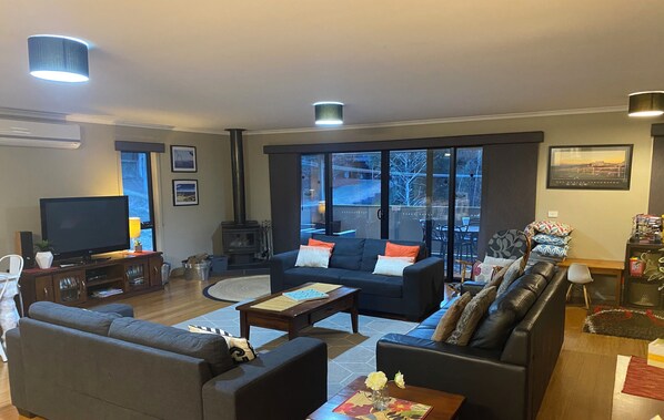 TV, fireplace, DVD player, books