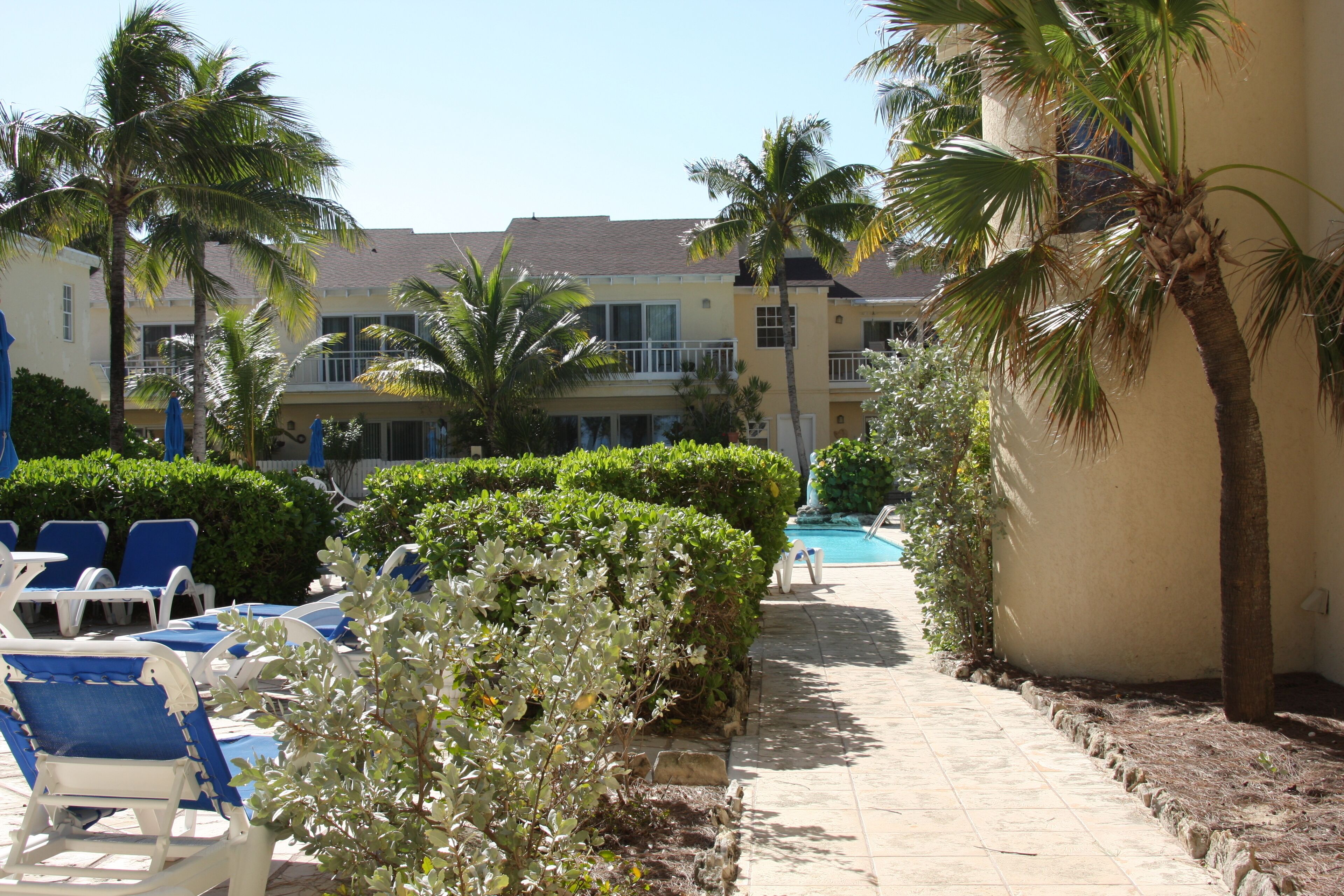 Zona de piscina amb gandules, palmeres i un edifici amb balcons.