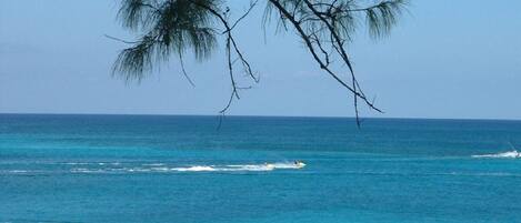 A view of the ocean with clear blue water and waves, a boat in the distance, and a tree branch in the foreground.