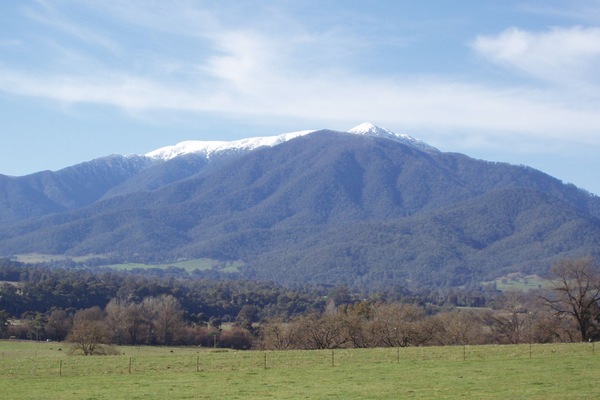 Mount Bogong