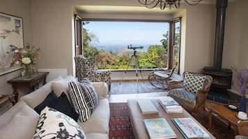 TV, fireplace, DVD player