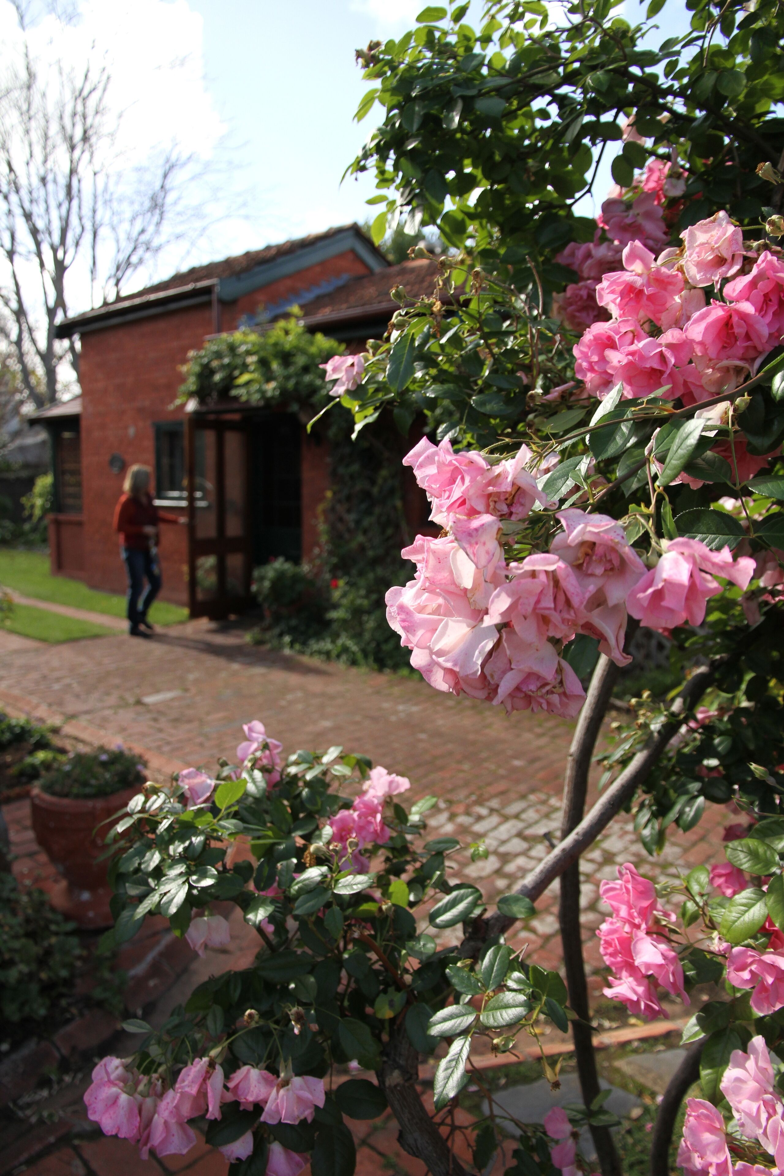Paprika Cottage - Buxton Manor — image 13