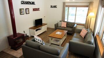 Smart TV, fireplace, DVD player, books