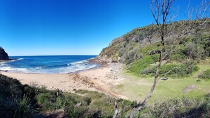 Eine Küstenlandschaft mit Strand, felsigen Klippen und dichter Vegetation.