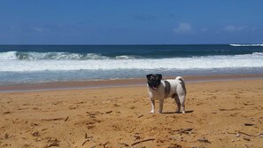 Plage à proximité