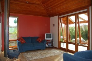 TV, DVD player, books, video library