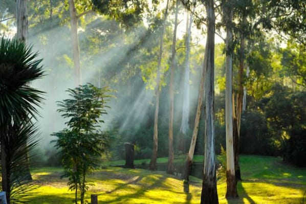 Property grounds - Brogui Park - Buln Buln East (Buln Buln East)