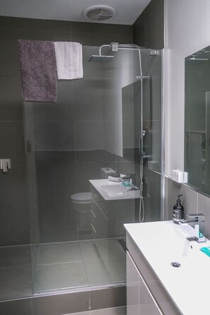 Secadora de cabello, toallas, jabón, shampoo 