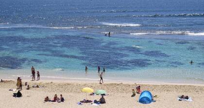 Treehouse - elevated nature setting, kids TV room