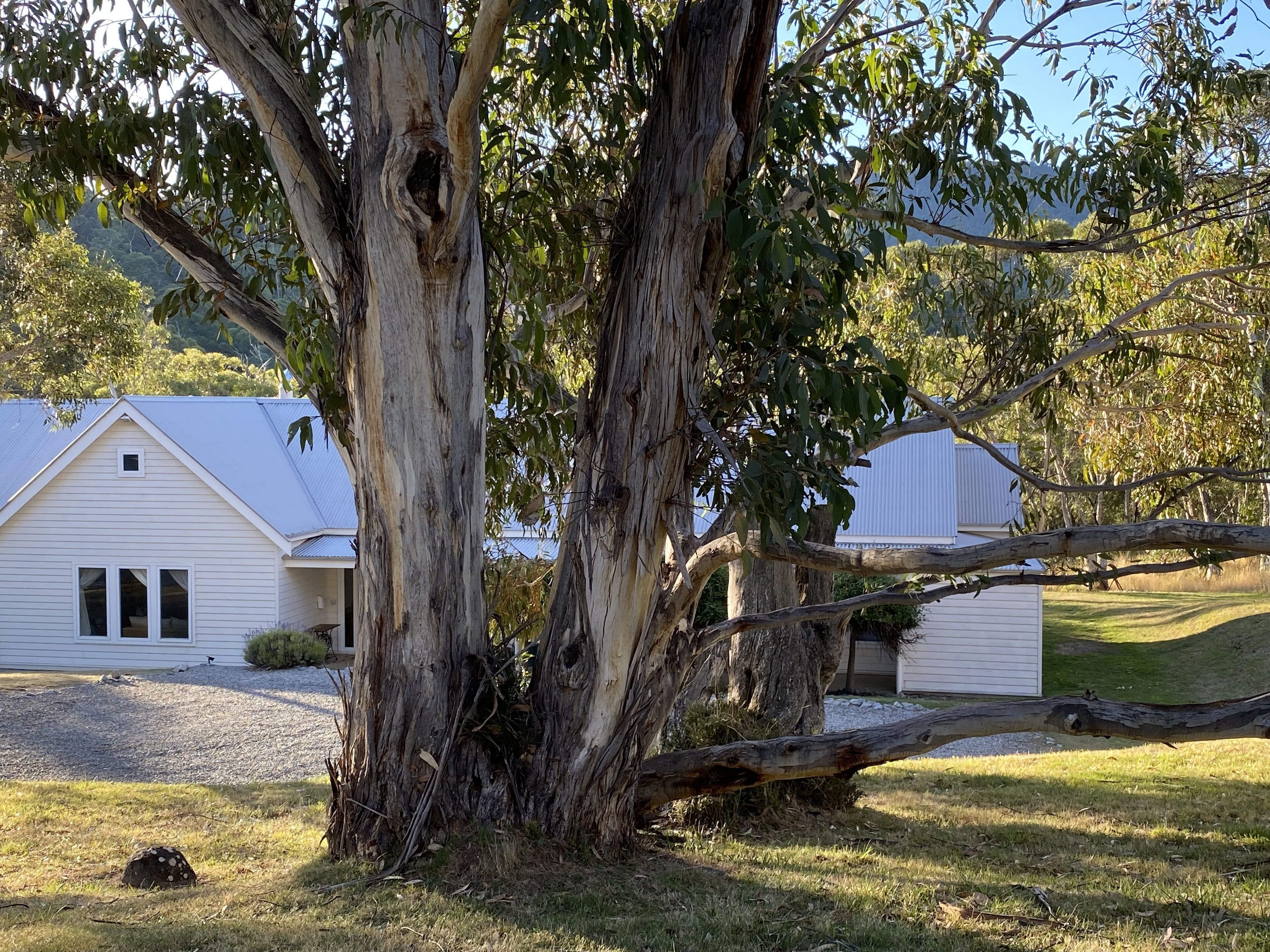 Welcome to the White House - country charm inviting you to relax in style