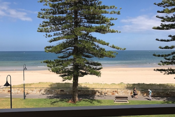 Absolute beachfront - no road between you and the sand