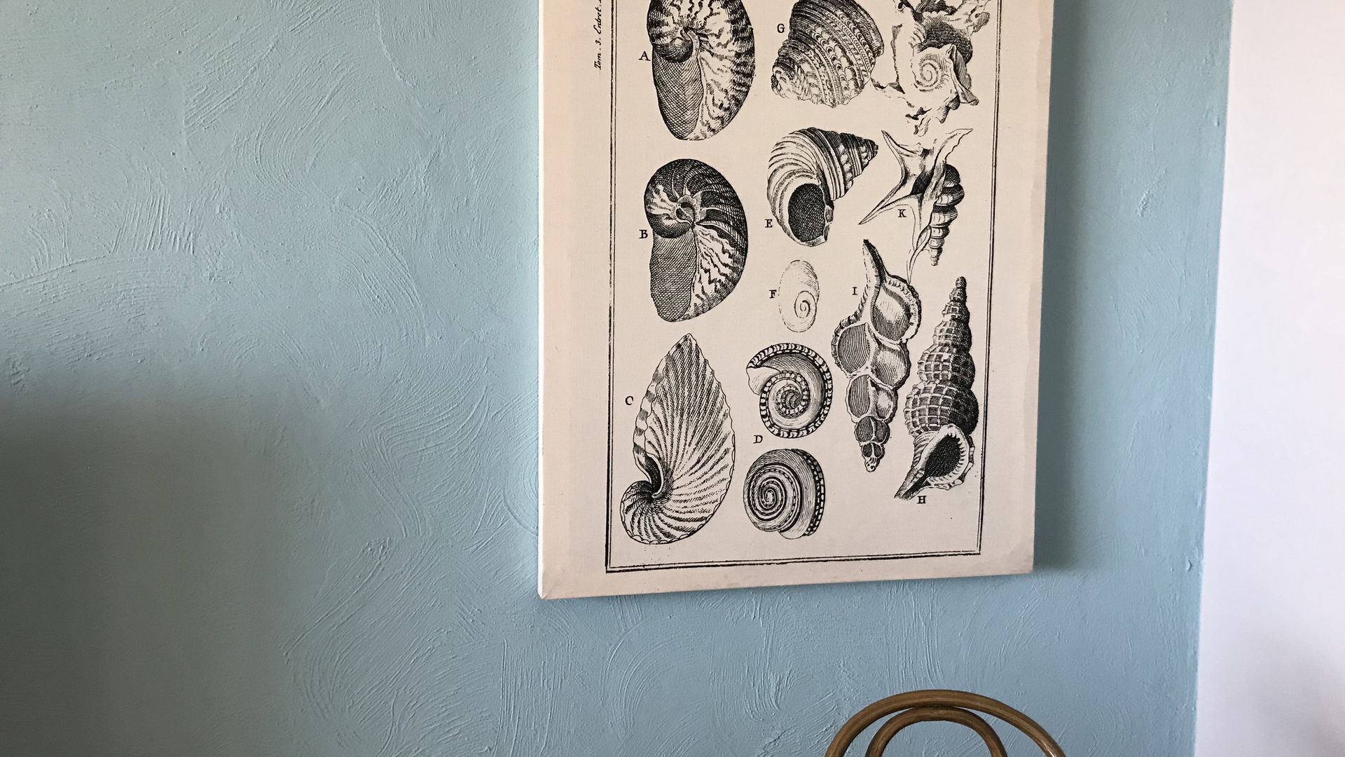 Beachfront at Glenelg — image 13