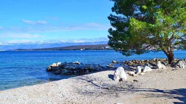 Una costa rocosa con un árbol y una vista despejada del mar y montañas distantes.