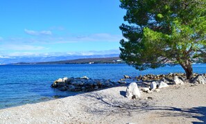 Une côte rocheuse, avec un arbre, et une vue dégagée sur la mer et les montagnes lointaines.