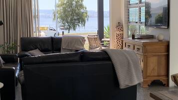 TV, fireplace, DVD player, books