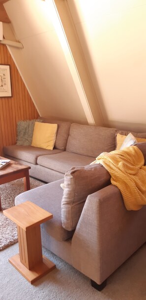 Fernseher, Kamin, Bücher, Musikbibliothek
