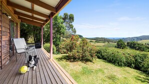 Une terrasse en bois avec un espace abrité, un chien et une balle jaune.