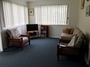 Televisión, chimenea, reproductor de DVD, libros