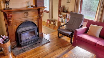 TV, fireplace, DVD player, books