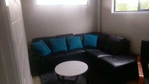 Smart TV, fireplace, video games, DVD player