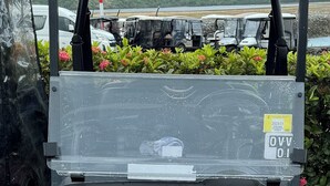 Un golf cart parcheggiato in un parcheggio, con una targa, circondato da altri veicoli e vegetazione.