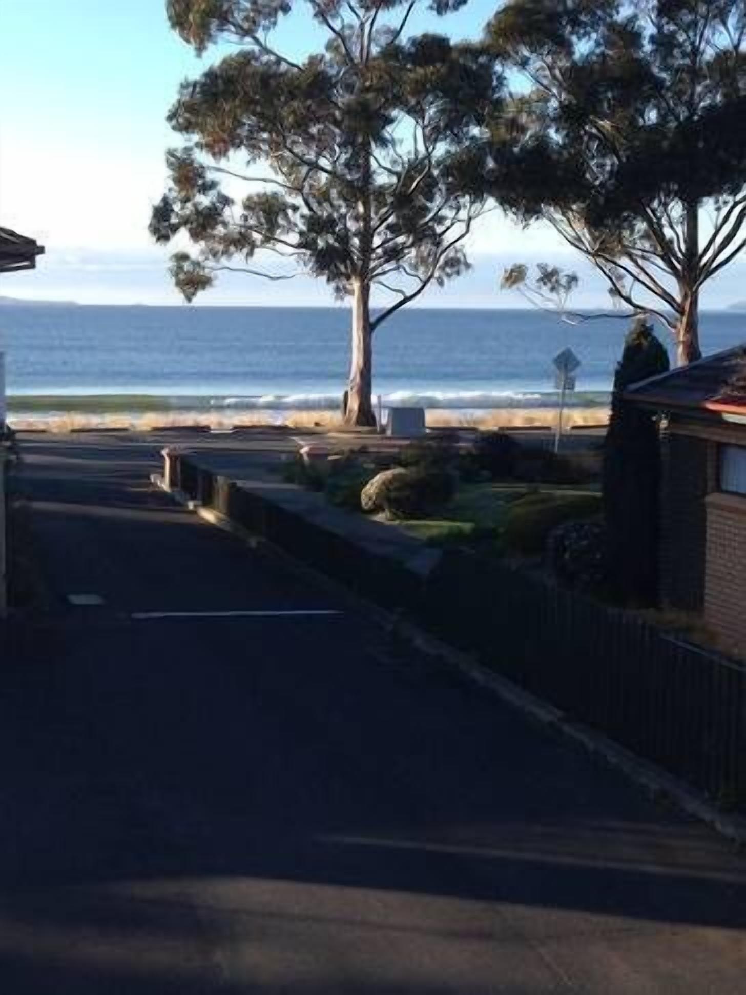 Sea La View Apartment — image 6