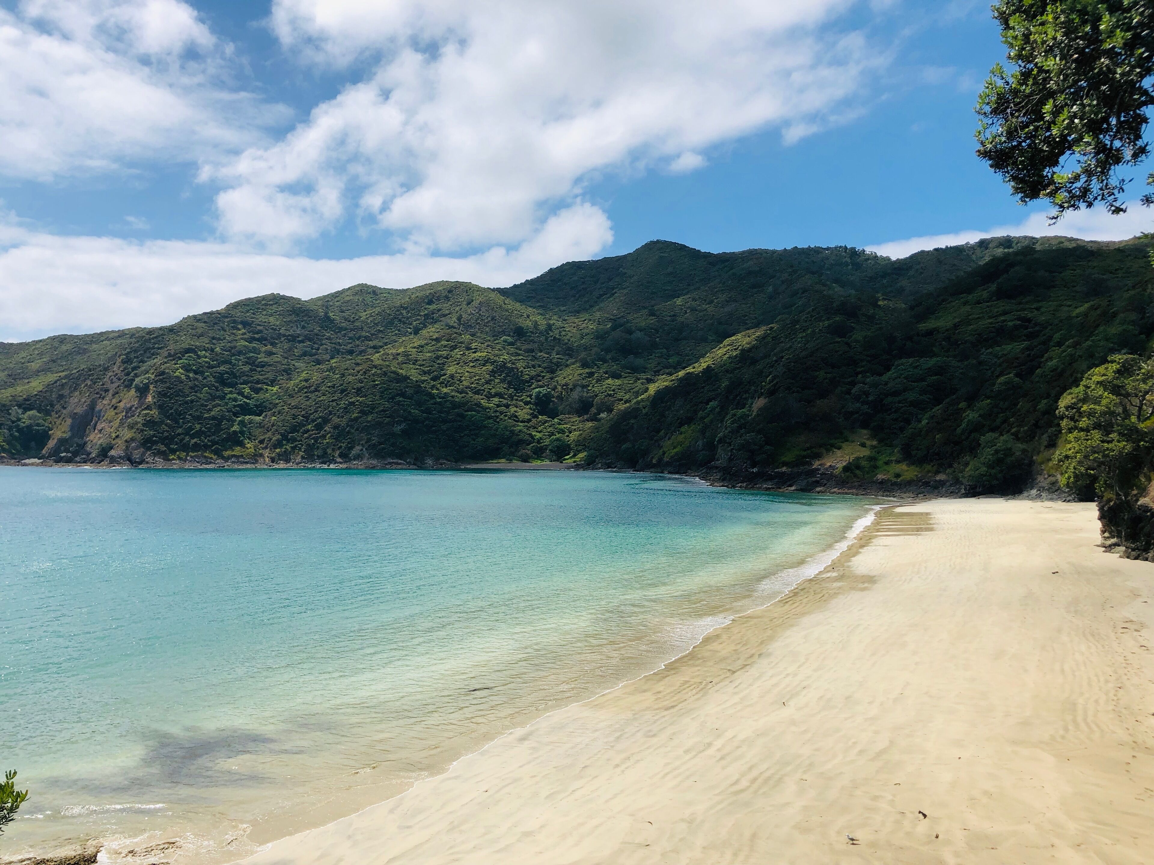 Une plage à l’eau turquoise et limpide, un rivage sablonneux et, en arrière-plan, de luxuriantes collines verdoyantes.