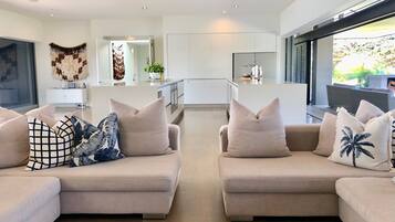 TV connectée, cheminée, Netflix, lecteur de DVD