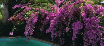 Casa Bella Vista - Lujo casa frente al mar, cerca de la Gran Barrera de Coral