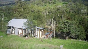 A rustic cabin with a metal roof, surrounded by dense forest and hills.