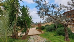Ein gepflasterter Weg führt zu einem von Grün umgebenen Gebäude, darunter Palmen und ein Olivenbaum.