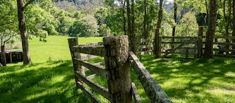Luxury Cedar Tree Farm - Cosy Retreat with Games Room. Pet Friendly! Magic view!