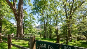 A sign for Cedar Tree Farm with a rustic wooden fence and lush greenery.